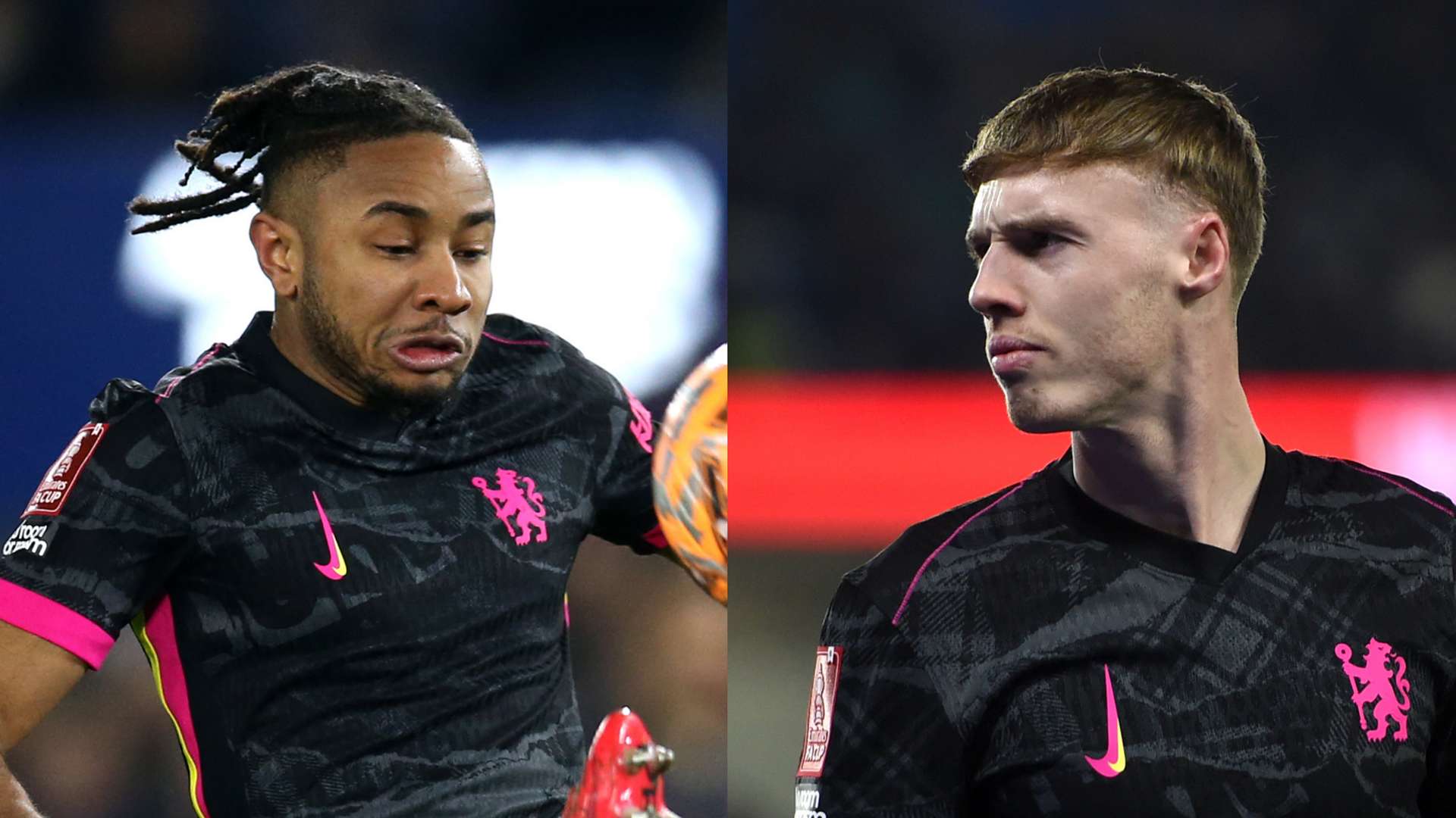 库里引领全 库里引领全